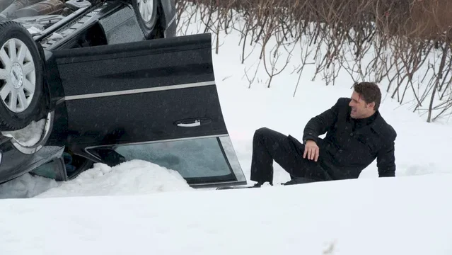 Photo 11 du film : Blackbird