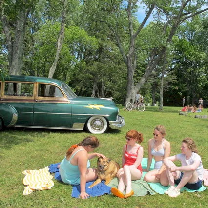Miniature photo du film : Foxfire, confessions d'un gang de filles