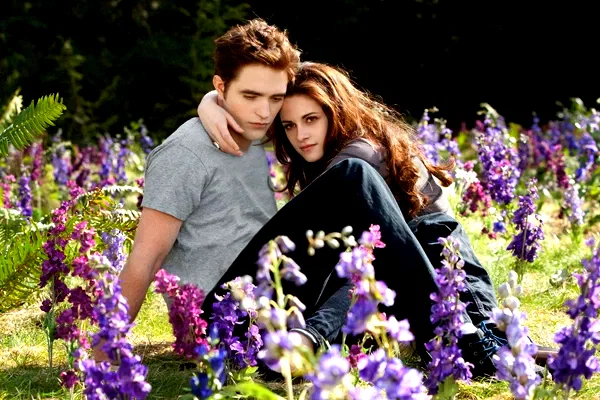 Photo du film : Twilight, chapitre 5 : Révélation - Deuxième partie
