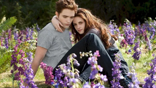 Photo 15 du film : Twilight, chapitre 5 : Révélation - Deuxième partie
