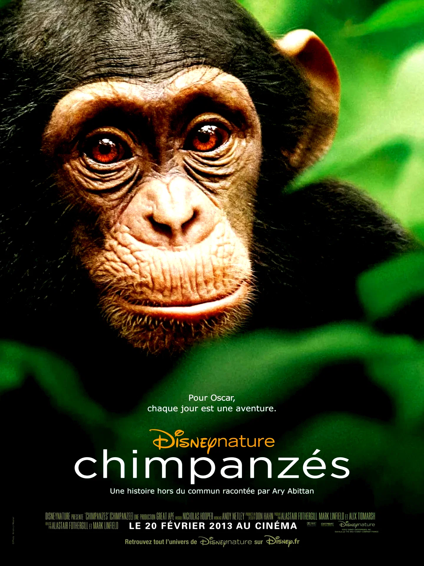 Affiche du film : Chimpanzés