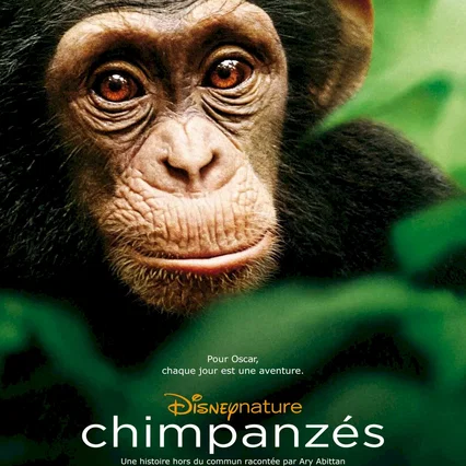 Miniature photo du film : Chimpanzés