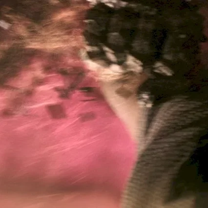 Miniature photo du film : L'Homme aux Poings de fer
