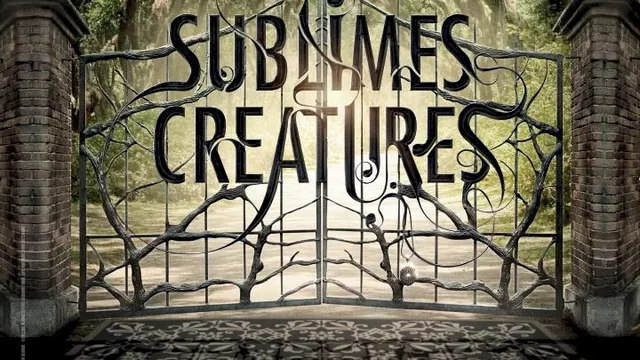 Affiche du film : Sublimes Créatures