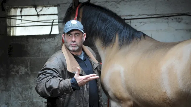 Photo du film : Turf