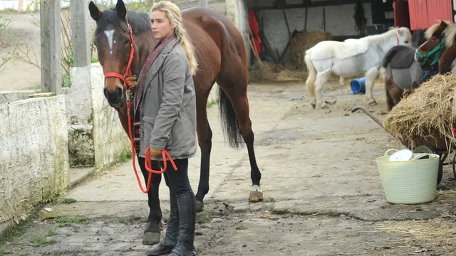 Photo du film : Turf