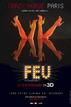 Affiche du film = Feu - Crazy Horse 3D