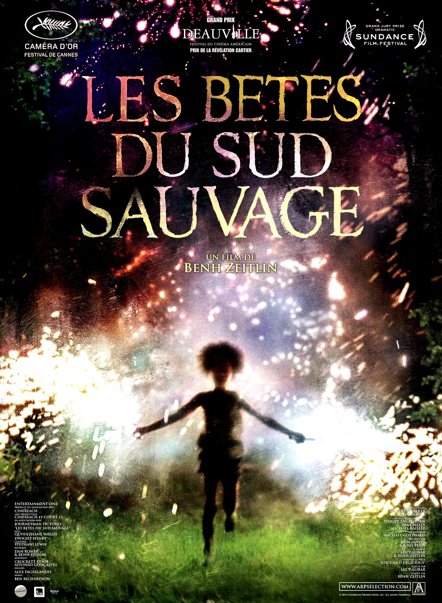 Affiche du film : Les bêtes du Sud sauvage