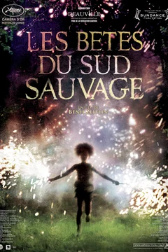 Affiche du film Les bêtes du Sud sauvage