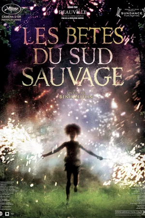 Affiche du film : Les bêtes du Sud sauvage