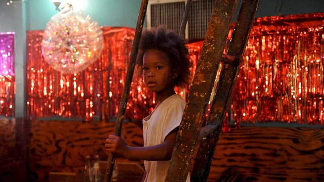 Photo 4 du film : Les bêtes du Sud sauvage