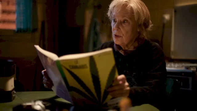 Photo du film : Paulette