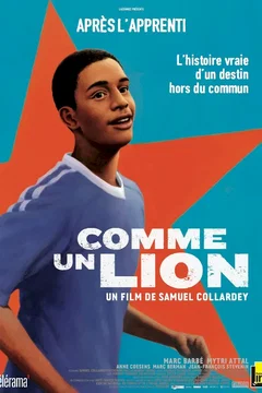 Affiche du film Comme un Lion