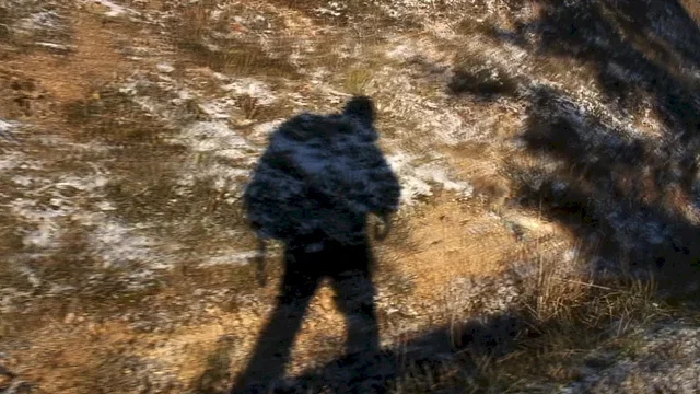 Photo du film : Le bonheur...terre promise