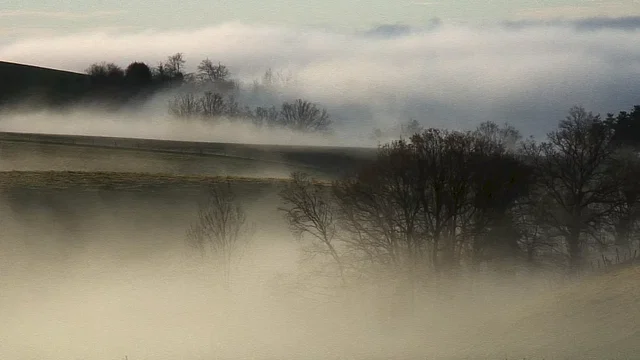 Photo du film : Le bonheur...terre promise