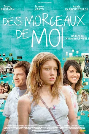 Affiche du film : Des morceaux de moi