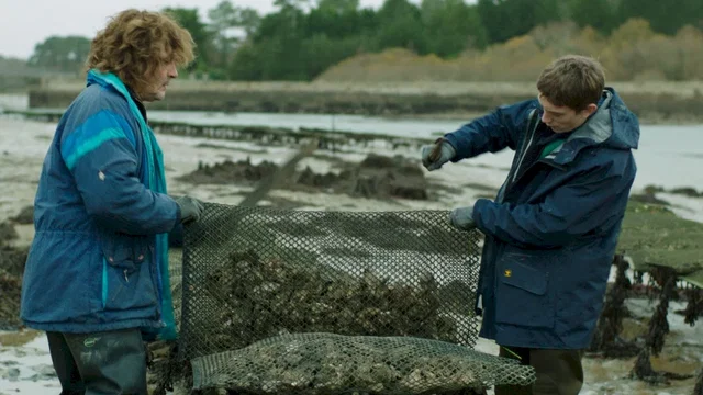 Photo du film : Crawl