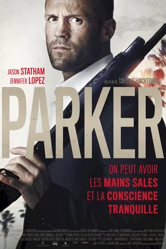 Affiche du film Parker