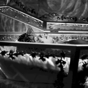 Photo du film : Blancanieves
