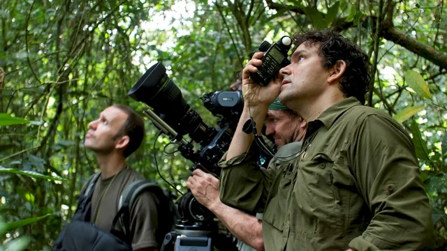 Photo du film : Chimpanzés