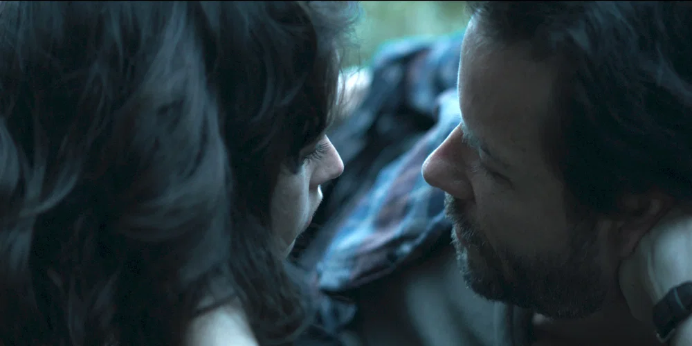 Affiche du film : Breathe In