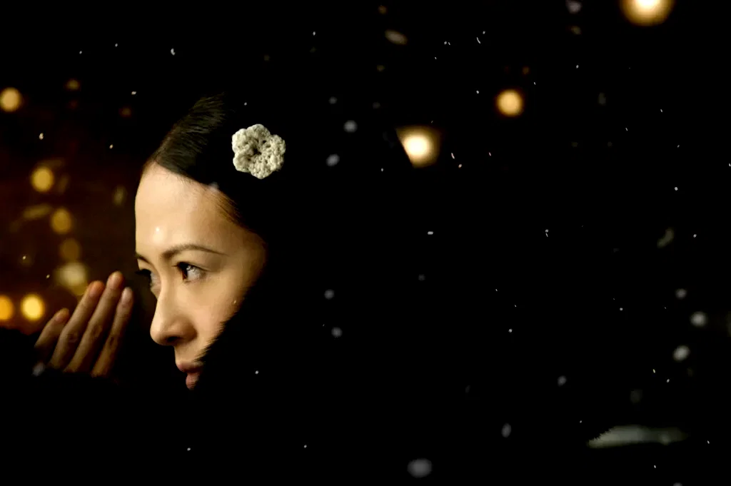 Photo du film : The Grandmaster