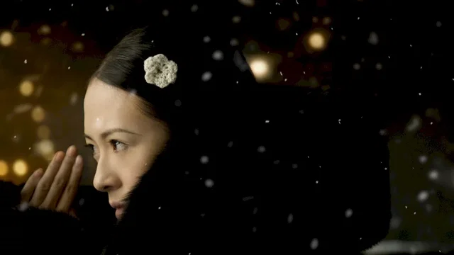 Affiche du film : The Grandmaster