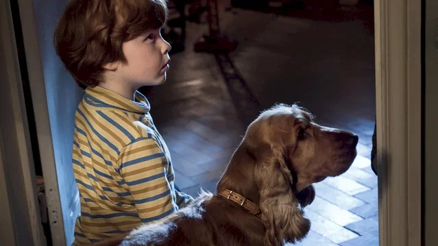 Photo du film : Boule et Bill