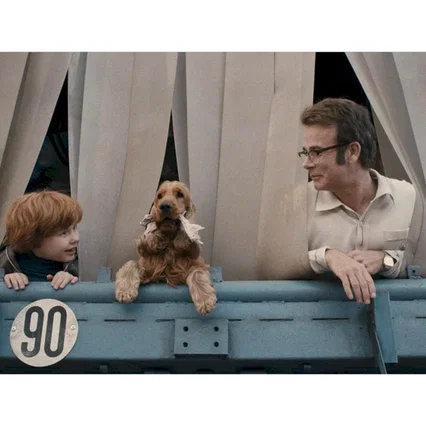 Miniature photo du film : Boule et Bill