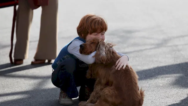 Photo du film : Boule et Bill