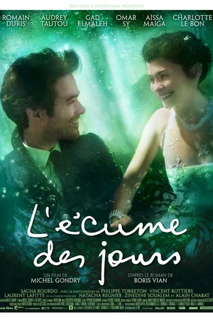 Affiche du film : L'Ecume des Jours