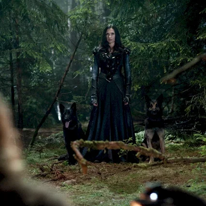 Miniature photo du film : Hansel and Gretel - Witch Hunters