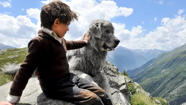 Photo du film : Belle et Sébastien