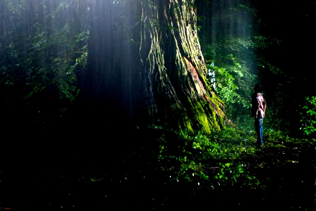 Photo 4 du film : Le diable dans la peau