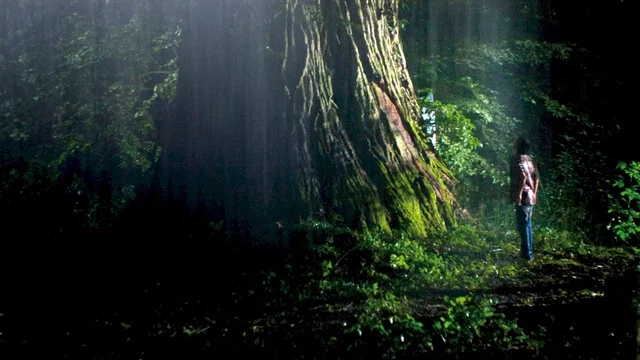 Photo du film : Le diable dans la peau