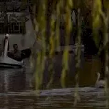 Miniature photo du film : Swandown 