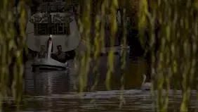 Photo du film : Swandown 