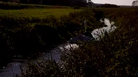 Photo 5 du film : Swandown 