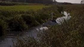 Photo du film : Swandown 