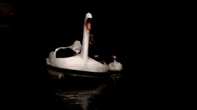 Photo 6 du film : Swandown 