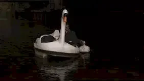 Photo du film : Swandown 