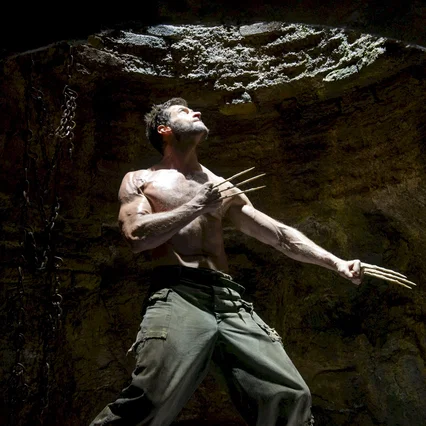 Miniature photo du film : Wolverine : le combat de l'immortel