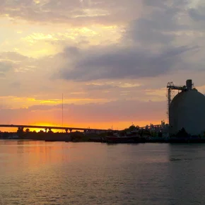 Photo du film : The Bay 