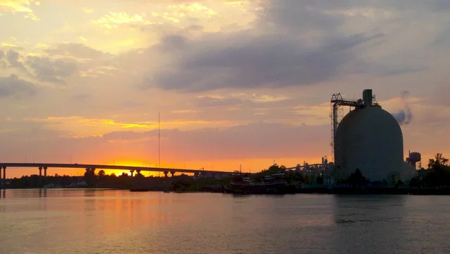Photo du film : The Bay 