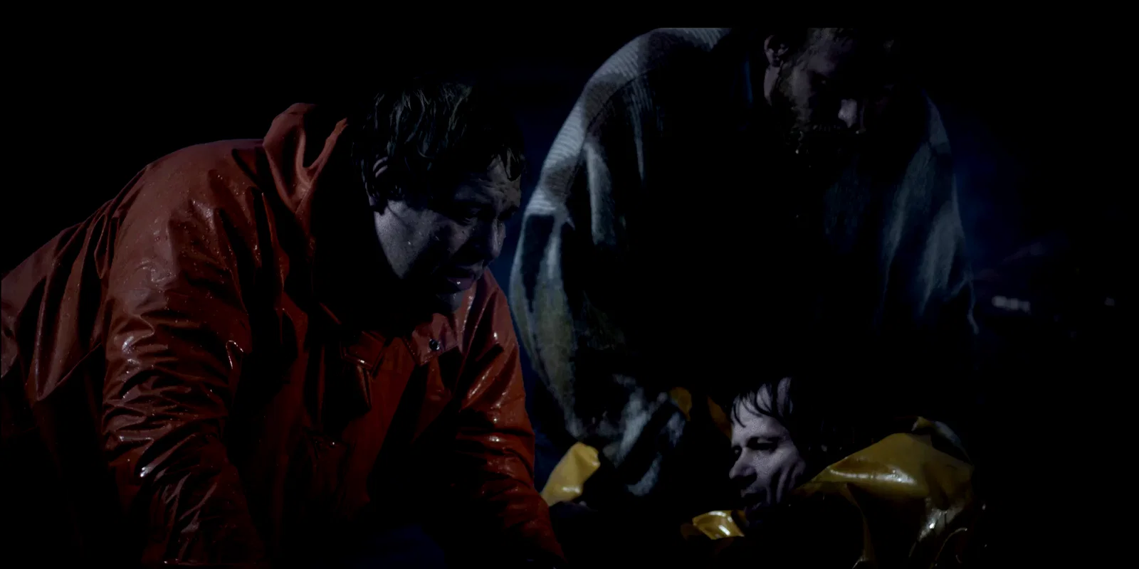 Photo 2 du film : Survivre