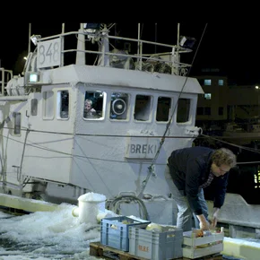 Photo du film : Survivre