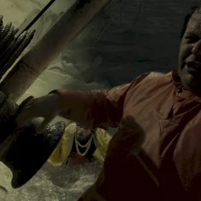Photo du film : Survivre