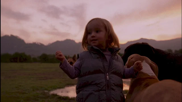 Photo 7 du film : Post Tenebras Lux