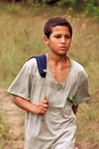 Photo 2 du film : Just the wind