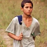 Photo du film : Just the wind